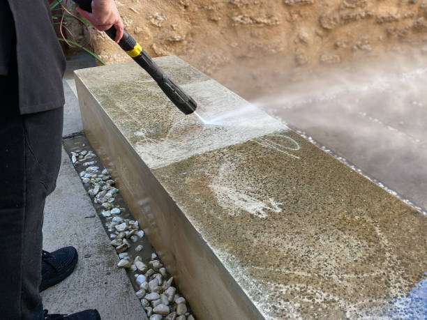 Best Local Pressure Washing Services  in Earlvle, IL